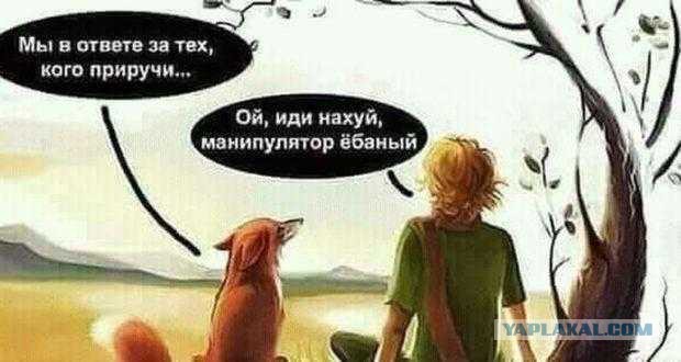 Как общество превратило мужчин в сопливых ничтожеств