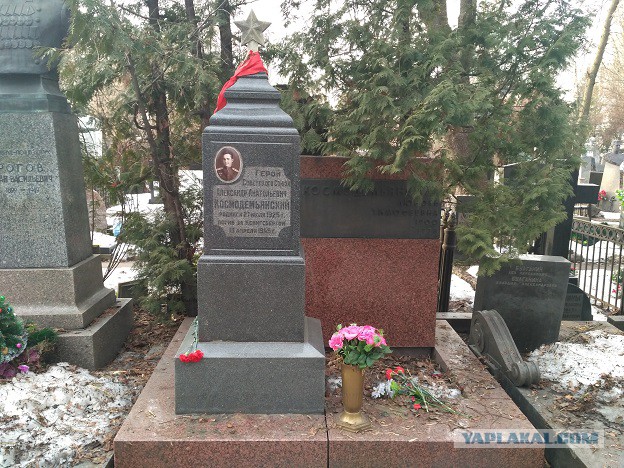 Новодевичье