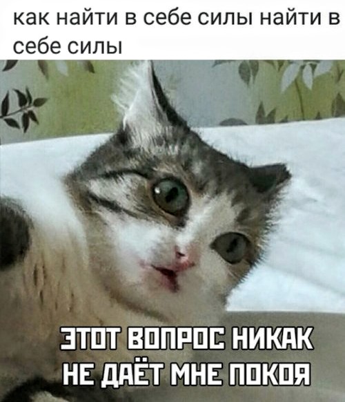 Картинки с надписями и анекдоты