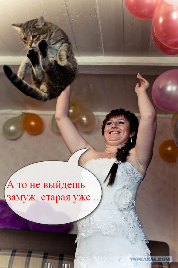 Ты невеста, ты моя невеста