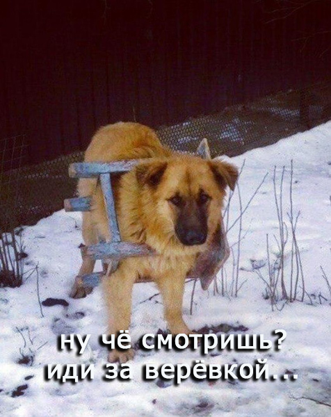 Сладких снов