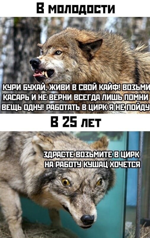Бредзона 22.01.2020