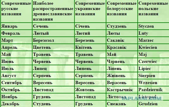 Свинегрет: картинки, надписи и прочее 29.01.20