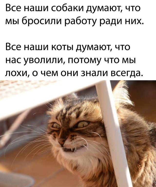 Немного картинок для настроения 29.04.20