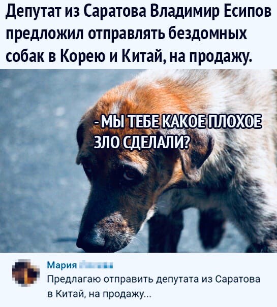 Забавные комментарии из социальных сетей 01.06.20