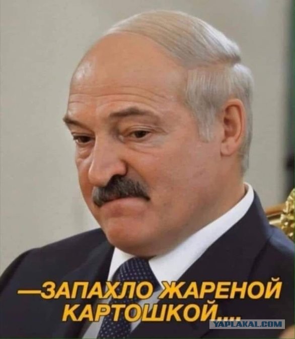 В ЦИК Беларуси объявили окончательные результаты выборов президента