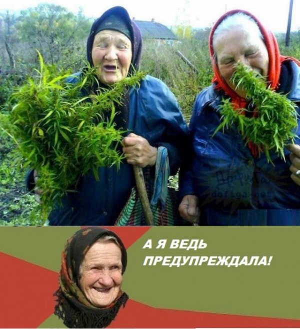 Прикольные и просто красивые картинки 14.01.2021