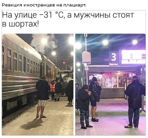 15137735.jpg