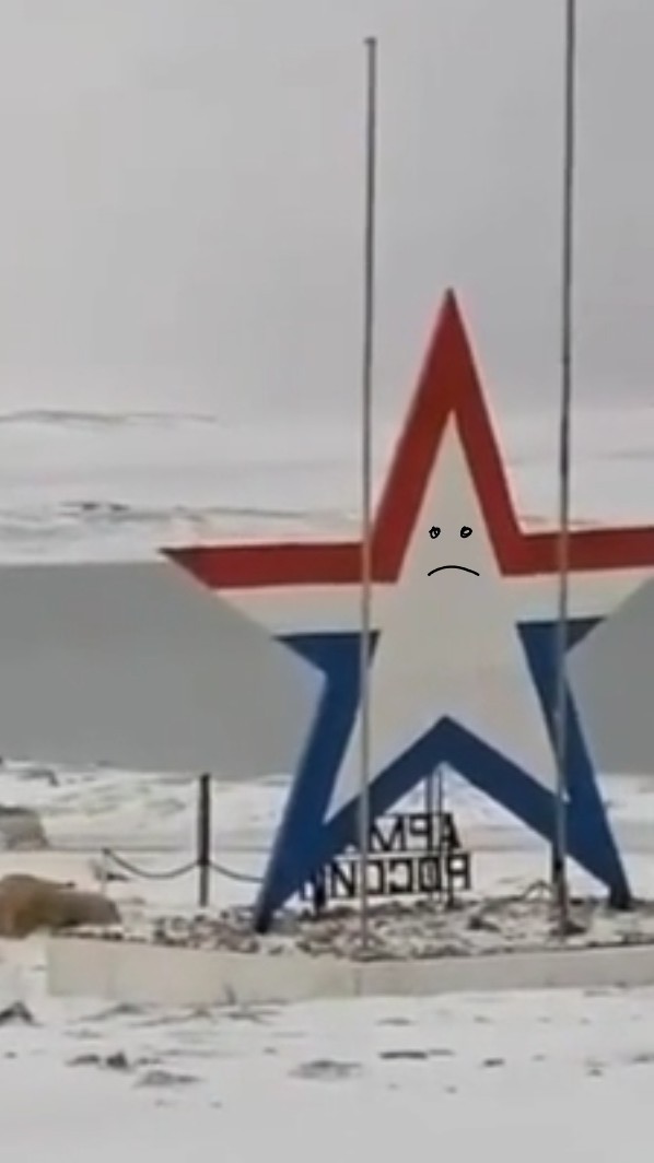 Белые медведи попытались угнать КамАЗ в Якутии