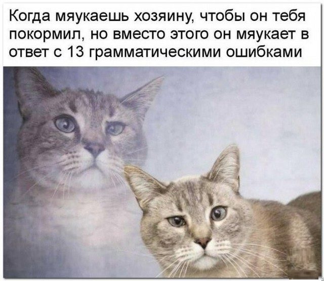 Картинки с надписями и всякие жизненные фразы 23.04.21