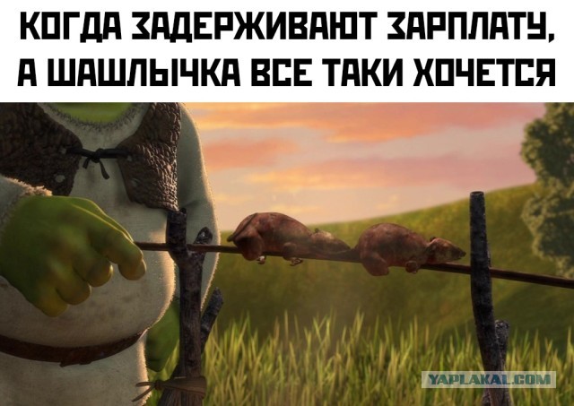 Баянисто-небаянистый юмор 19.05.21