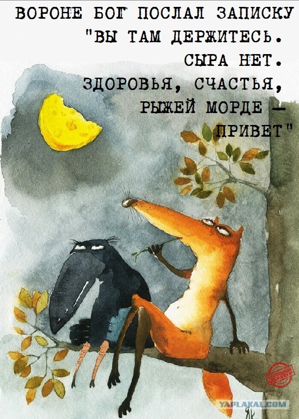Тут что-то не так
