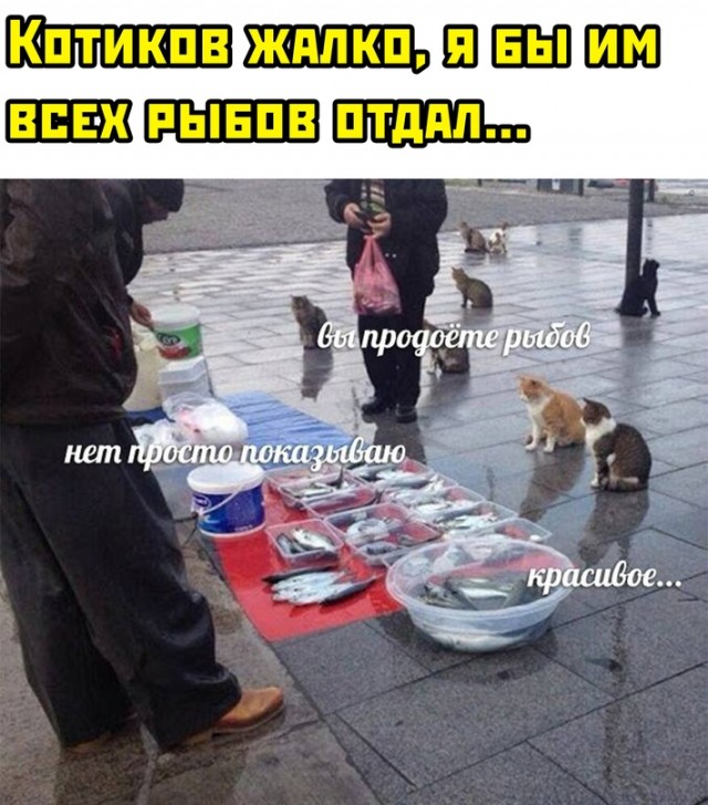 Картинки и мемы для настроения 27.07.2021