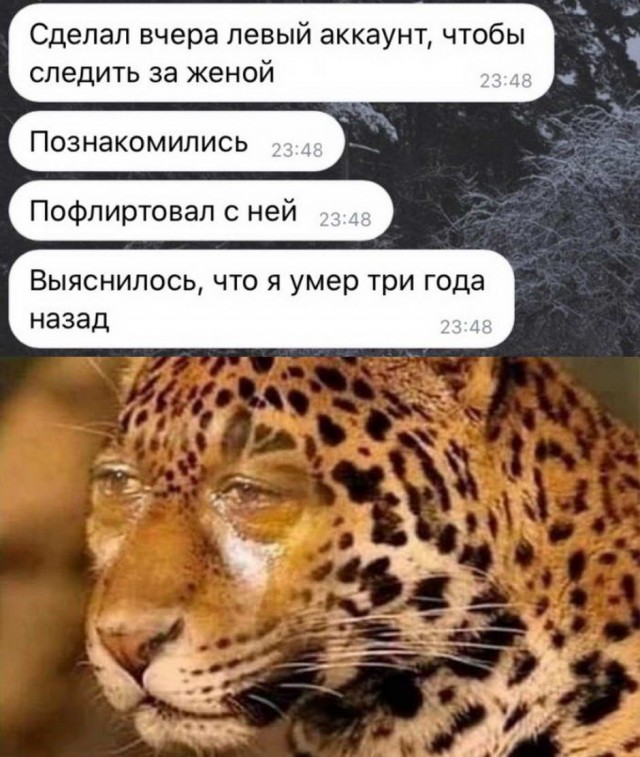 Фото для левого аккаунта