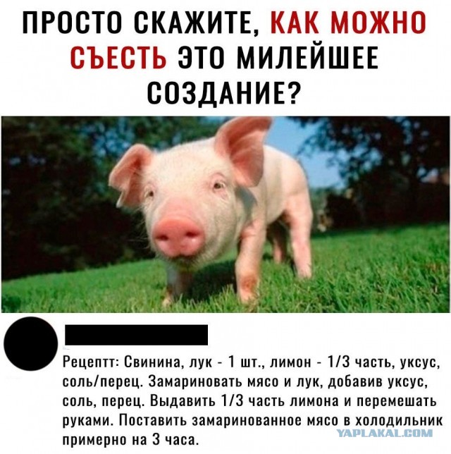 Семёныч всегда выручит