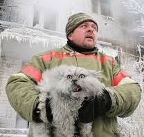 Пожарные и спасенные животинки