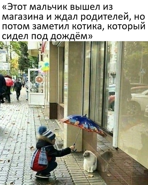 Картинки и мемы, всем прекрасных выходных