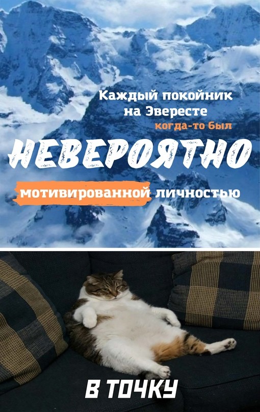 Баянисто-небаянистый юмор 14.02.22