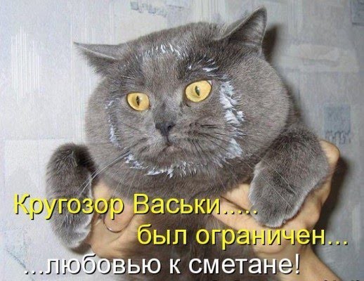 Федя хорошо питается