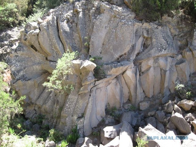 Канары, Тенерифе