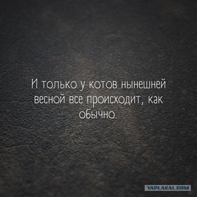 Так себе картинки 24.03.22