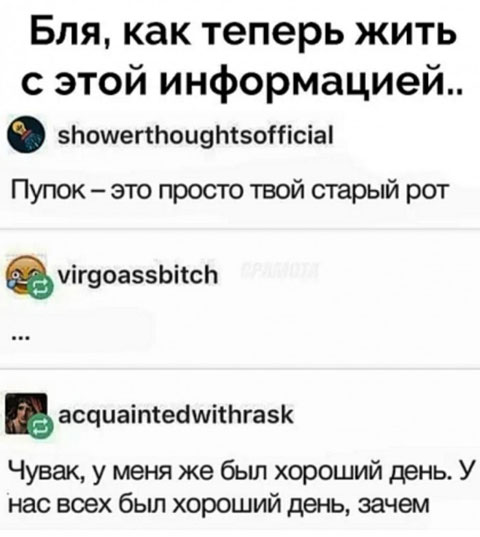 Забавные и веселые картинки