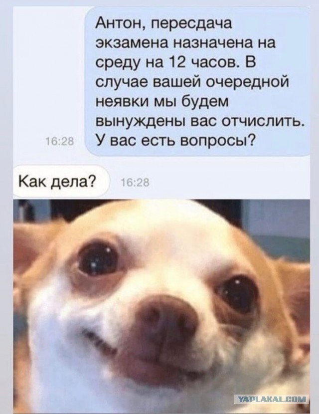 Так себе картинки 18.04.22