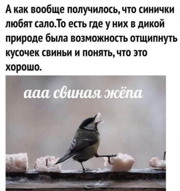Так себе картинки 04.05.22