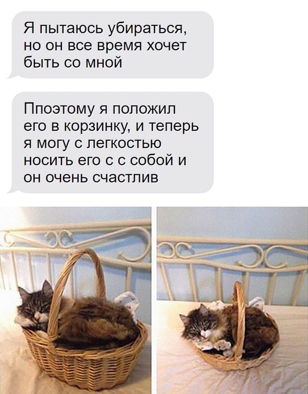 Картинки и мемы для настроения - 19