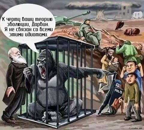 Первое знакомство