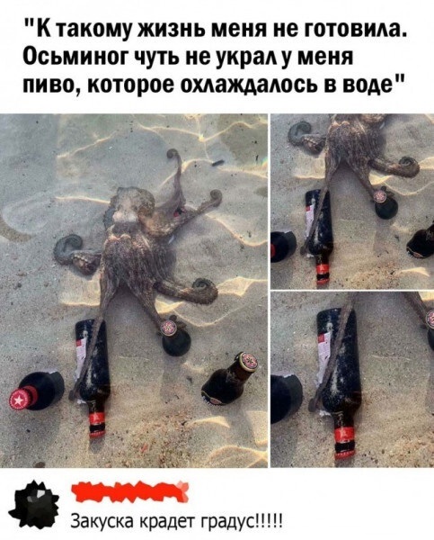 Немного картинок для настроения - 114