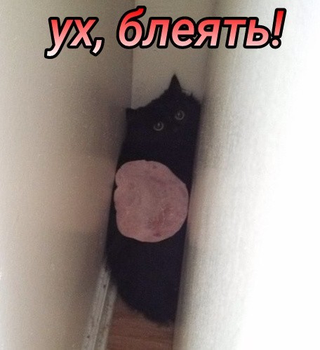 Добрым молодцам урок вот