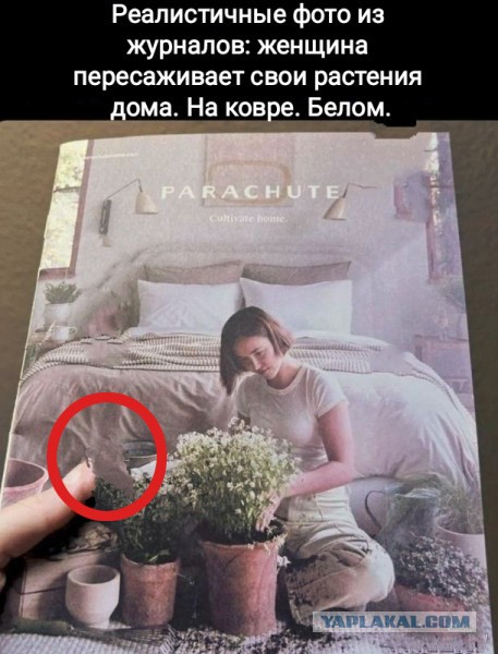 50 оттенков серого или самосвал баянов.  Vol.29