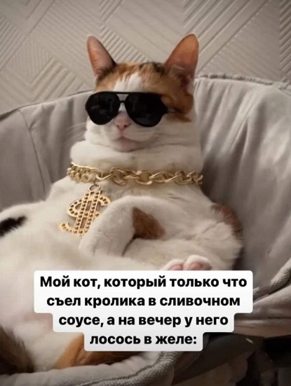 Что он задумал?!