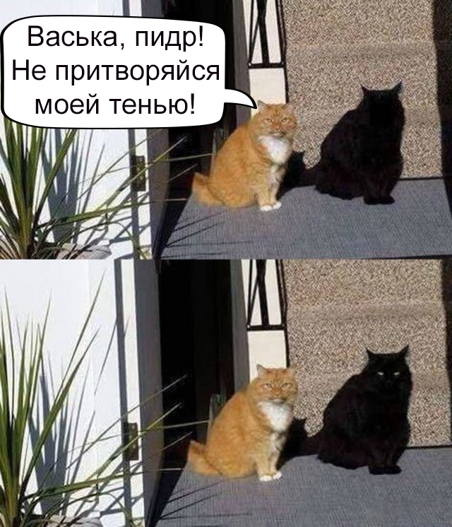 Картинки с надписями для поднятия настроения