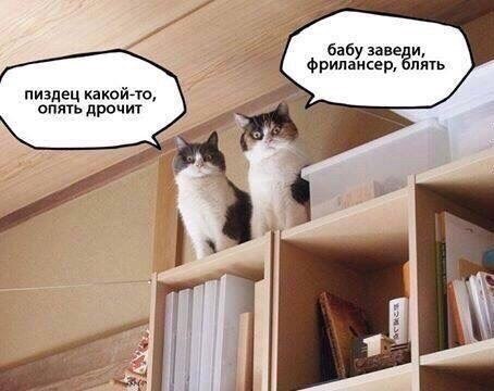 Шутки плоские, как грудь Киры Найтли