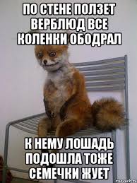 «Эволюция» семечек на Руси: от Петра I до наших дней
