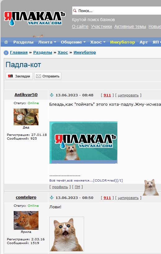 Падла-кот
