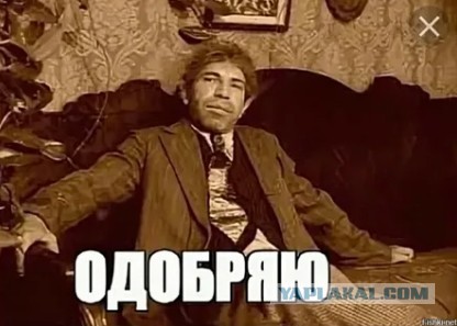 Валуев призвал вернуть советскую систему отлова бездомных собак.