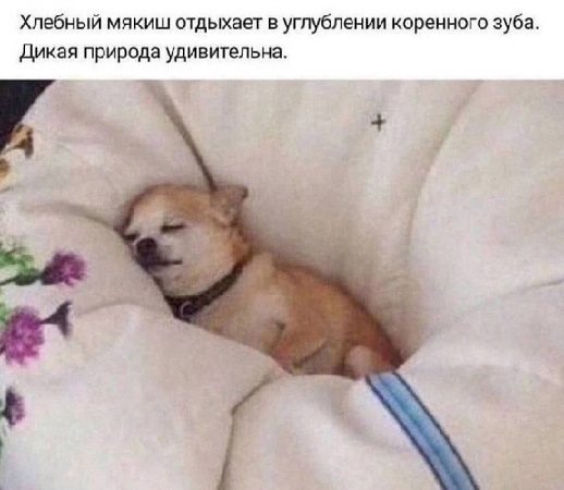 Ремонт в доме - моя страсть!