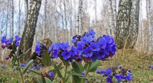 Сегодняшнее фото без затей