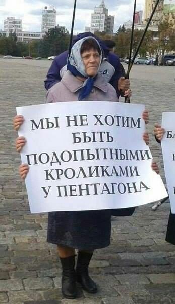 Забавные комментарии из социальных сетей (21.05.24)