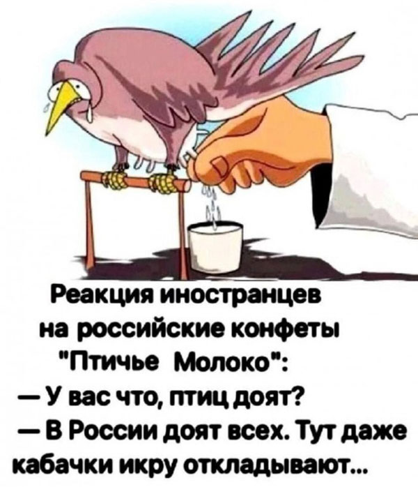 Ура, товарищи! Понедельник!