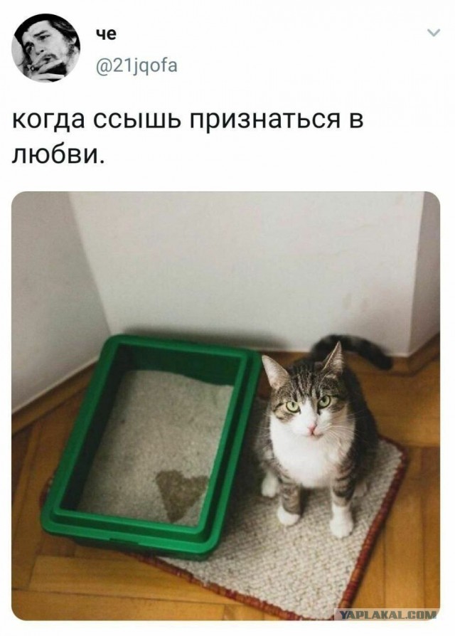 Никакие картинки и тексты