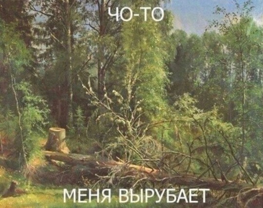 А кто это мы?