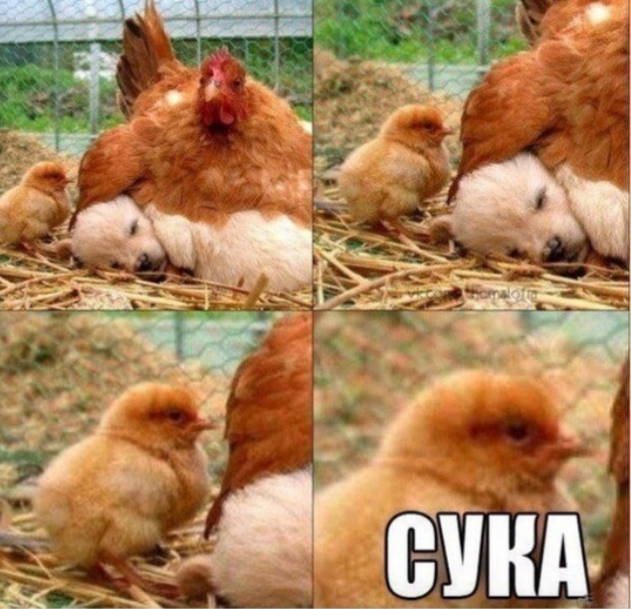 Посмеялся сам - поделись с другом!!!