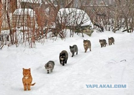 Воплощение зла