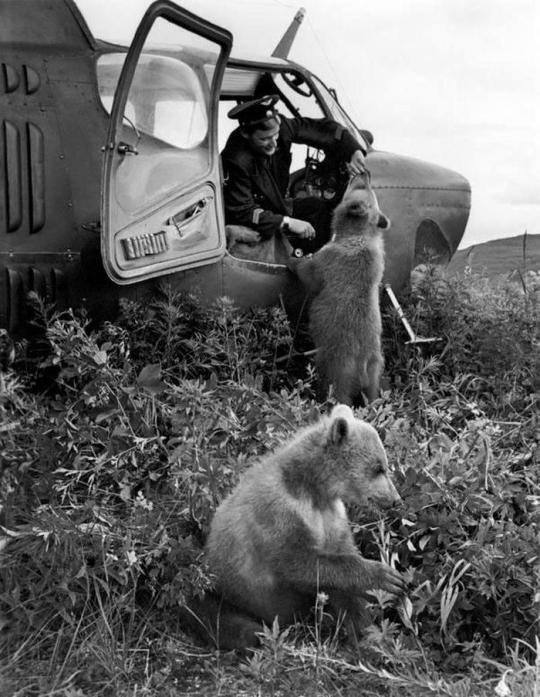 ​ Фотографии из прошлого нашей страны – 96