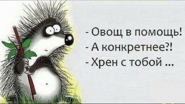 Завалялось тут случайно немного забавных картинок