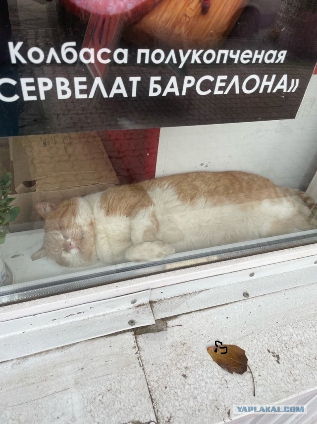 Колбаса - наше всё